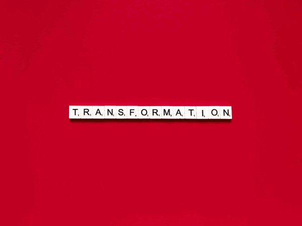 Comment transformer un patio central en un jardin d'hiver écologique?