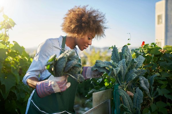 Créer un potager urbain avec un bac à jardiner: guide pratique